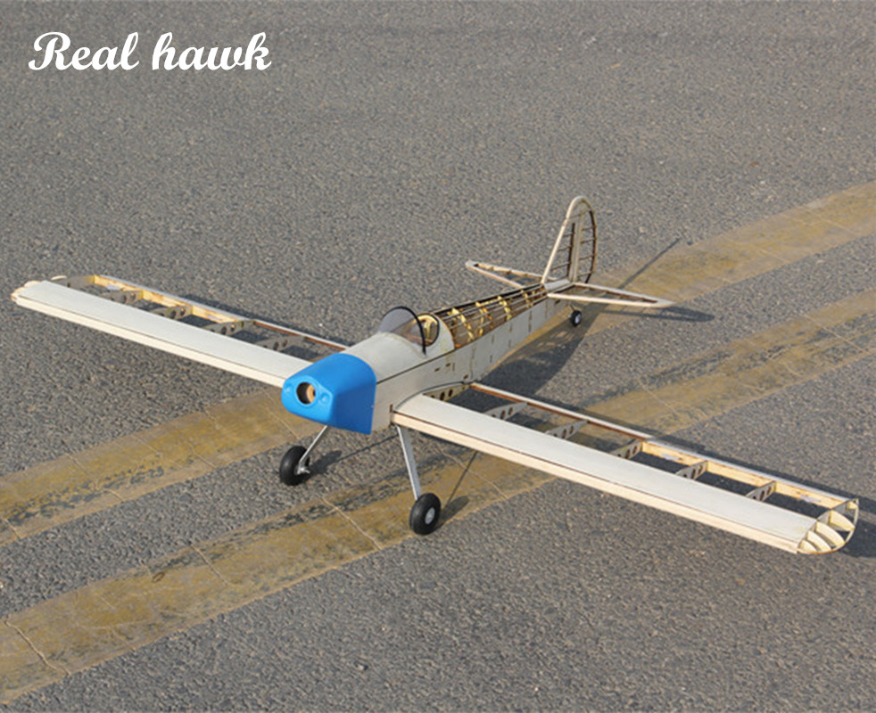 RC AirPlanes Laser Cut Balsa W - Model Kit Airplane review and price